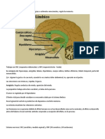 Fundamentos de Psiquiatría PDF