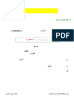 Ƒ óýÚƒÞ ƒÚÛƒºí ƒÚÒÓÝ Í ÝóºÕþ Ƒúßƒþí PDF