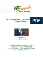 UI-3 PROCESO ORGANIZACIONAL.pdf