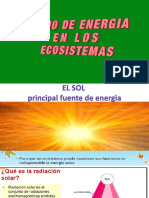 05 Flujo de Energia en Los Ecosistemas PDF