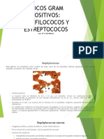 Cocos Gram Positivos. Estafilococos y Estreptococos PDF