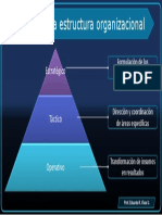 Estructura organizacional