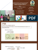 PIB Grupo #4