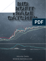 Big Profit Trade Catcher Manual