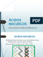 ÁCIDOS NUCLÉICOS.pdf