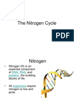 The Nitrogen Cycle: Essential for Life