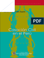 casacion civil en el peru.pdf