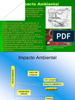 ESTUDIO AMBIENTAL.pdf