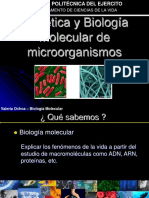 El ADN y ARN PDF