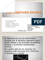 Leptospirosis de Bovino 20187