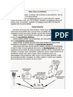 As Partes Da Flor e CADEIA ALIMENTAR