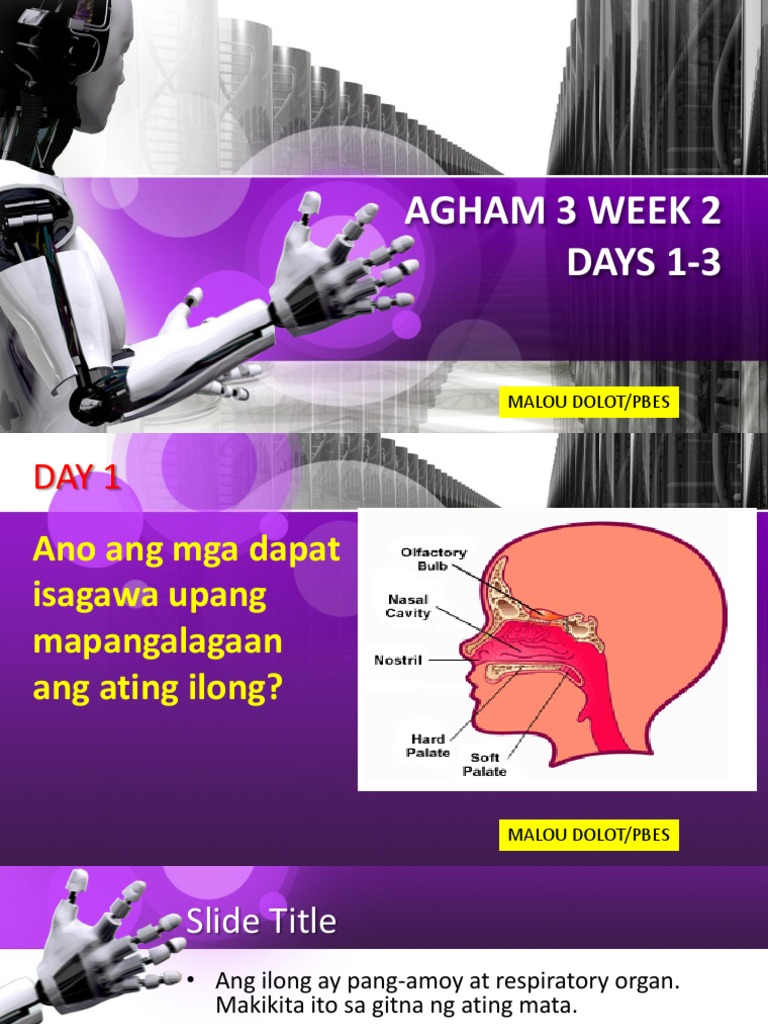 Agham | PDF