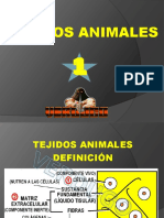 1-Tejido Epitelial PDF