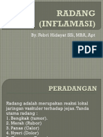 Inflamasi (Radang)