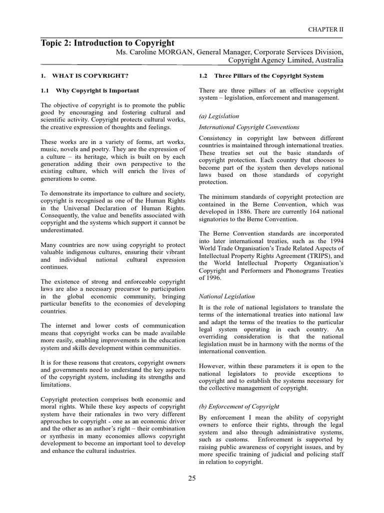 Introduction of Copy Rights PDF | PDF | Copyright Infringement | Copyright