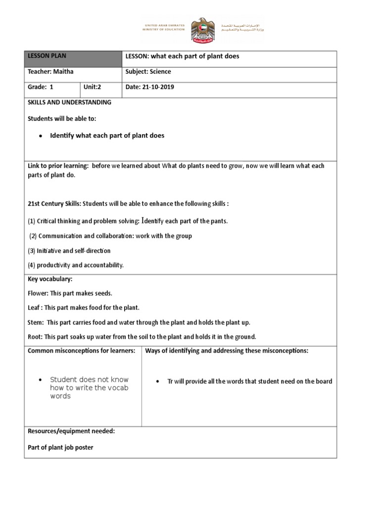 LESSON PLAN 3.2 What Each Part of Plant Do | PDF | Lesson Plan | Plants