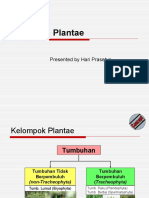 Kingdom Plantae