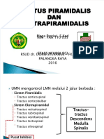 Dokumen - Tips - 1 Traktus Piramidalis Dan Ekstrapiramidalis