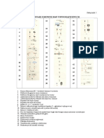 Znaki Topograficzne