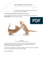 canaldopet.ig.com.br-Como lidar com gatos brigando o tempo inteiro.pdf