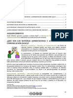 Que Son Los SAAC PDF