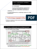 T4-PFD-fluviales-2 (2).pdf