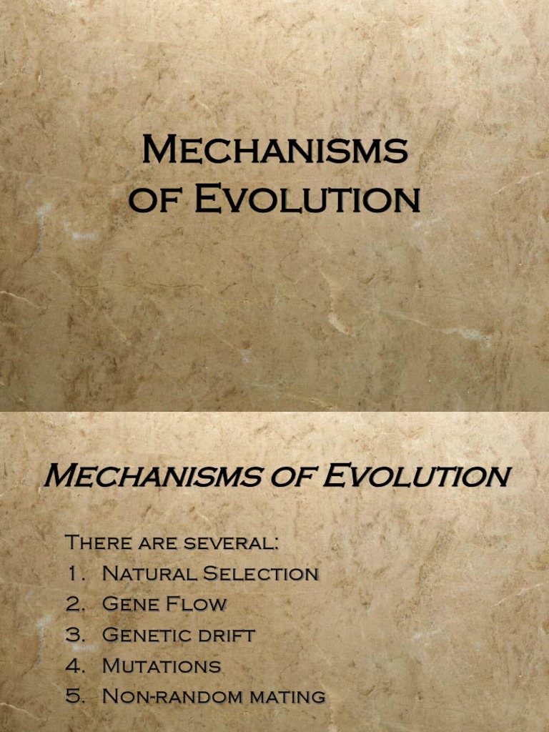 Five Mechanisms of Evolution Explained | PDF | Genetic Diversity ...