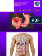 Fisiopatologia de La Cirrosi Hepatica Final