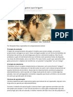 Como Aproximar Gatos Que Brigam PDF