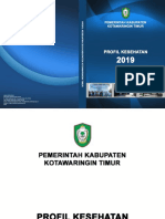 Profil Kesehatan Kotim 2019 PDF