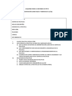 Esquema para El Informe de PPP II