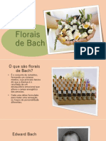 Florais de Bach prof Denise.pptx