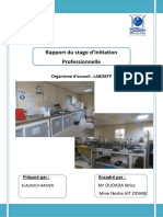 Rapport Du Stage LABOBTP PDF