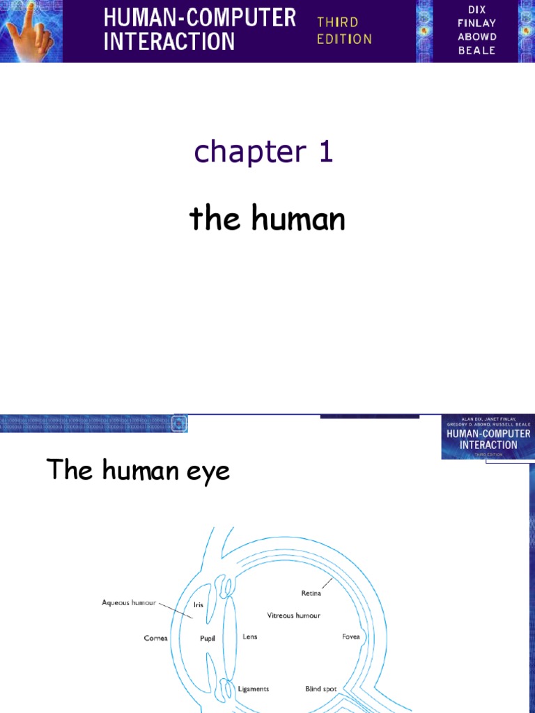 HCI Chapter 1 | PDF | Visual Perception | Perception