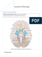 Cranial Nerves - Anatomy & Physiology - WikiVet English PDF