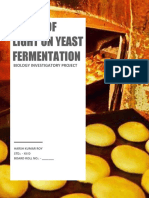 Effect of Light On Yeast Fermentation