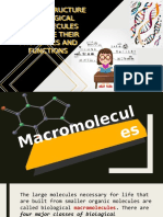 How The Structure of Biological Acromolecules Determine Their