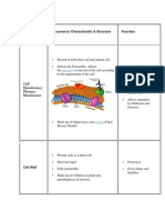 Cell Organelles