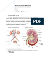 Laporan Pendahuluan Urolithiasis