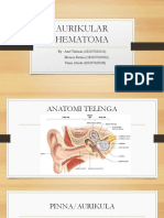 Aurikular Hematoma