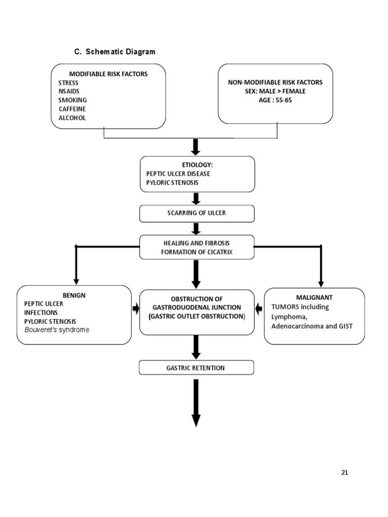 Schematic Diagram | Download Free PDF | Clinical Medicine | Diseases ...