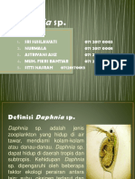 Daphnia sp. sebagai pakan alami untuk benih ikan hias