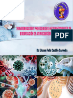 Clase Teoria Aminoglucosidos Farmacocinetica Unt 2019 PDF