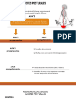 Ajustes Postural Diapos