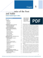 Sample Chapter Coughlin Mann's Surgery of The Foot and Ankle 9780323072427 PDF