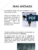 2pp-Sistemas Sociales PDF