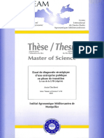 Diagnostic Strategique (Lait) PDF