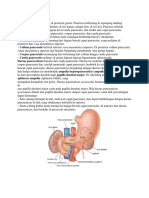 Pancreas