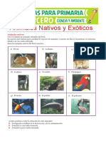Animales-Nativos-y-Exóticos-para-Tercero-de-Primaria.pdf