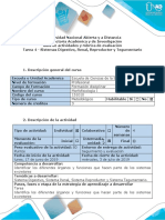 Guía de actividades y rúbrica de evaluación - Tarea 4 - Sistemas Digestivo, Renal, Reproductor y Tegumentario IMPRIMIR.docx